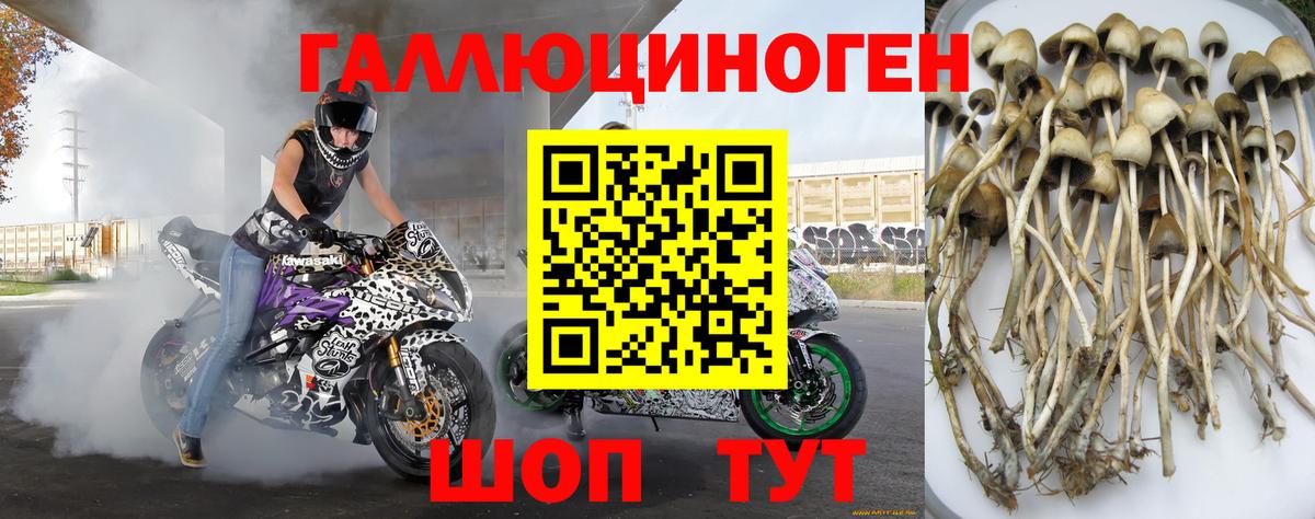 Орехово-Зуево  Псилоцибиновые грибы мухоморы  где купить наркотик  Вход с VPN 
